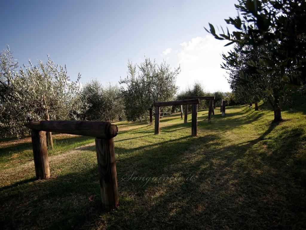 Agriturismo Sanguineto Acquaviva  Exterior photo
